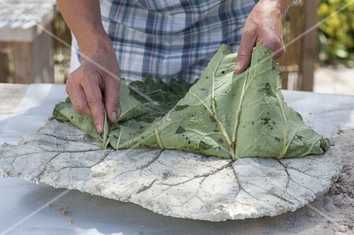 Trittsteine Fur Den Garten Selbermachen Bild Kaufen 12183214