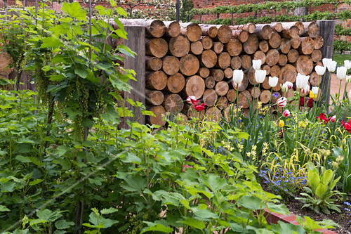 Blumenbeet Und Gestapelte Holzstamme Im Bild Kaufen 12669576