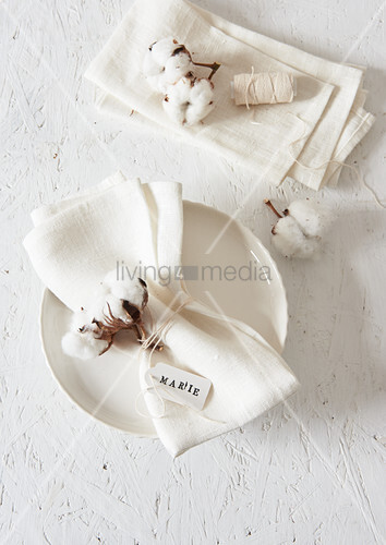 Cotton Bolls Decorating Napkins Buy Image 12976990 Living4media