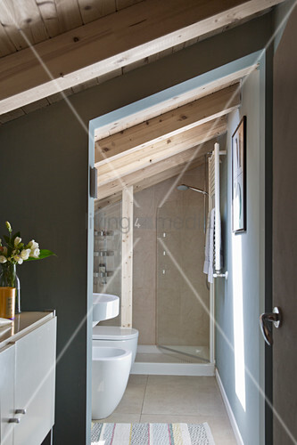 Bathroom With Shower Cubicle Under Buy Image 12980250