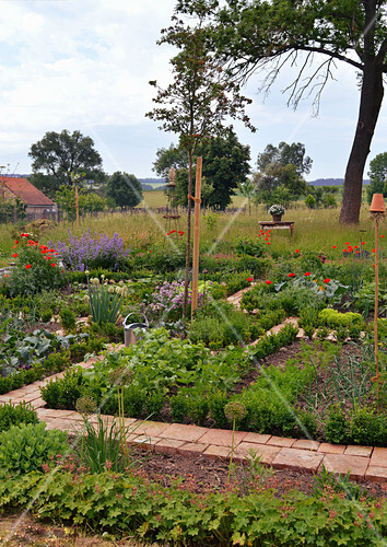 Farm Garden In Early Summer With Buy Image 12558548