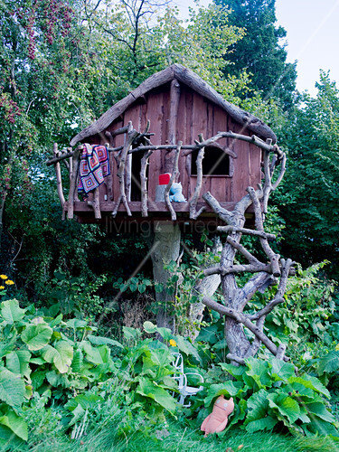 Rustic tree house on tree stump