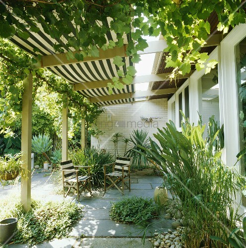 Bewachsene Pergola über der Terrasse – Bild kaufen – 00717358